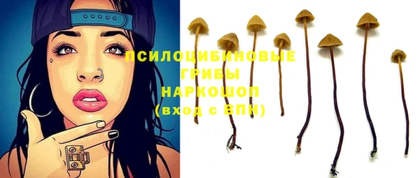 a pvp Кинешма