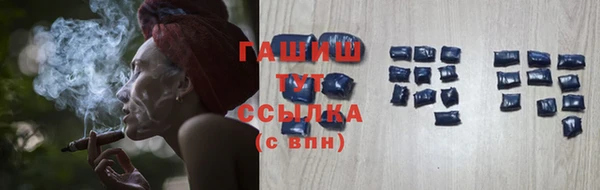 стаф Арсеньев
