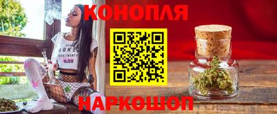 сатива Гусиноозёрск