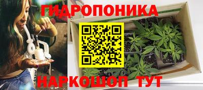 дурь Гусь-Хрустальный