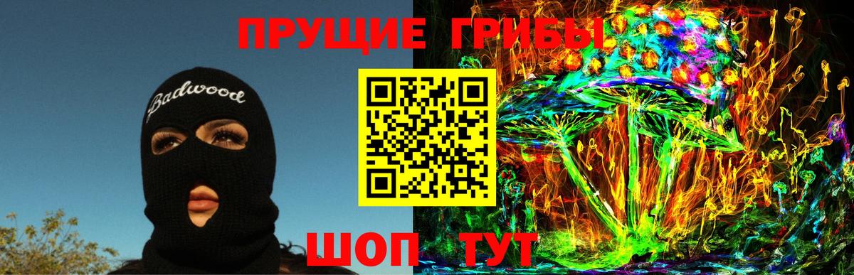 Псилоцибиновые грибы GOLDEN TEACHER  купить наркотики сайты  Иваново  Псилоцибиновые грибы GOLDEN TEACHER 