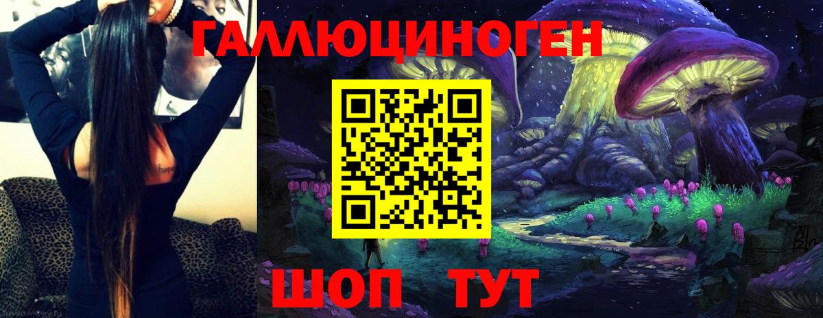 Псилоцибиновые грибы Psilocybe  Вход с VPN  Иваново 